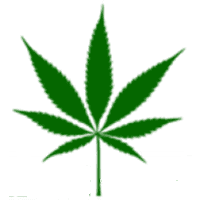 Green Health Docs